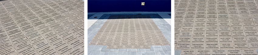 True North Legacy Bricks